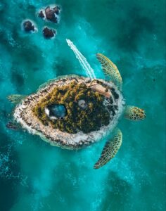 An island shaped in the form of a turtle