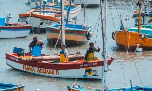 Fishing boats