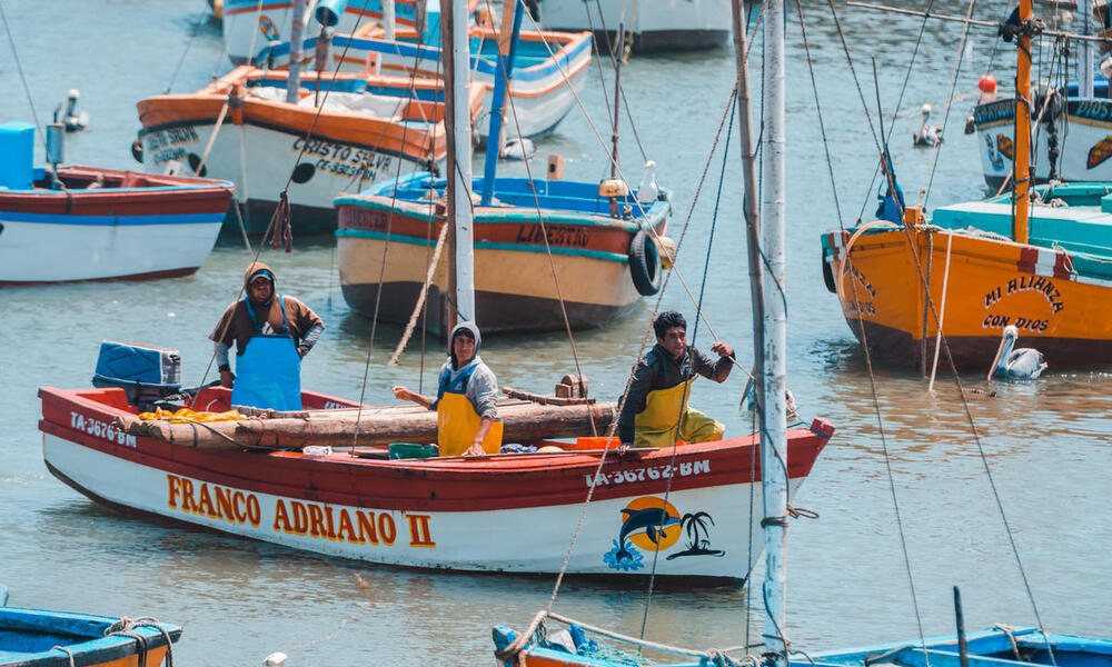 Fishing boats