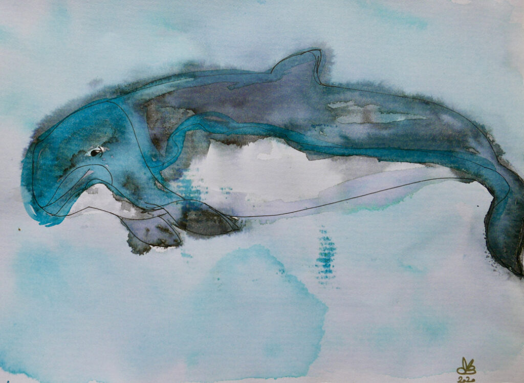 Drawing of a dolphin