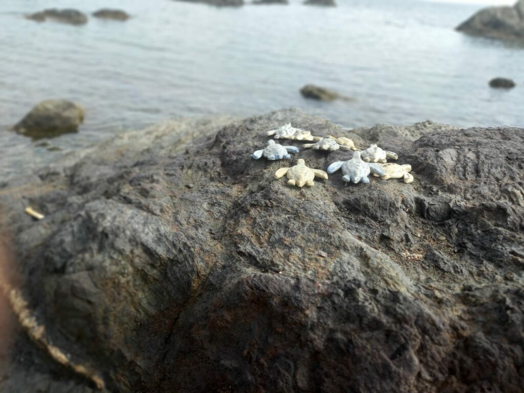 Ceramic turtles on a beach