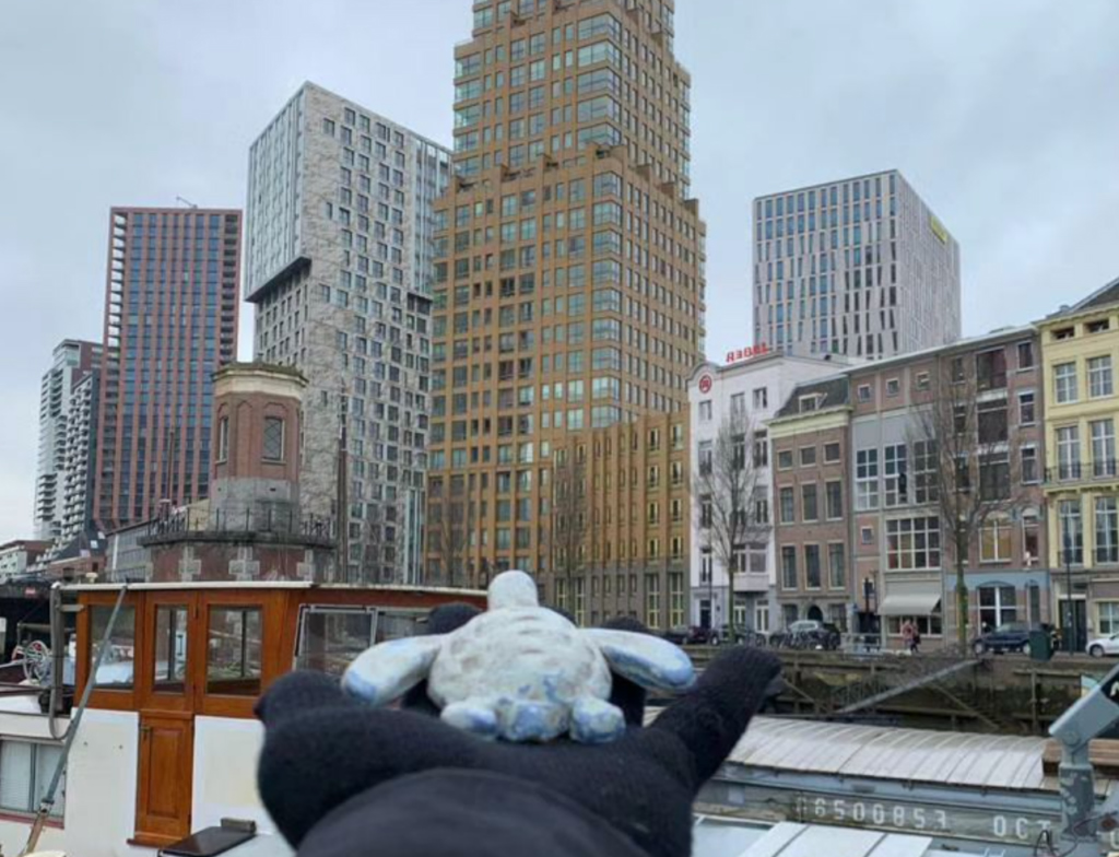 Ceramic turtle in a city landscape