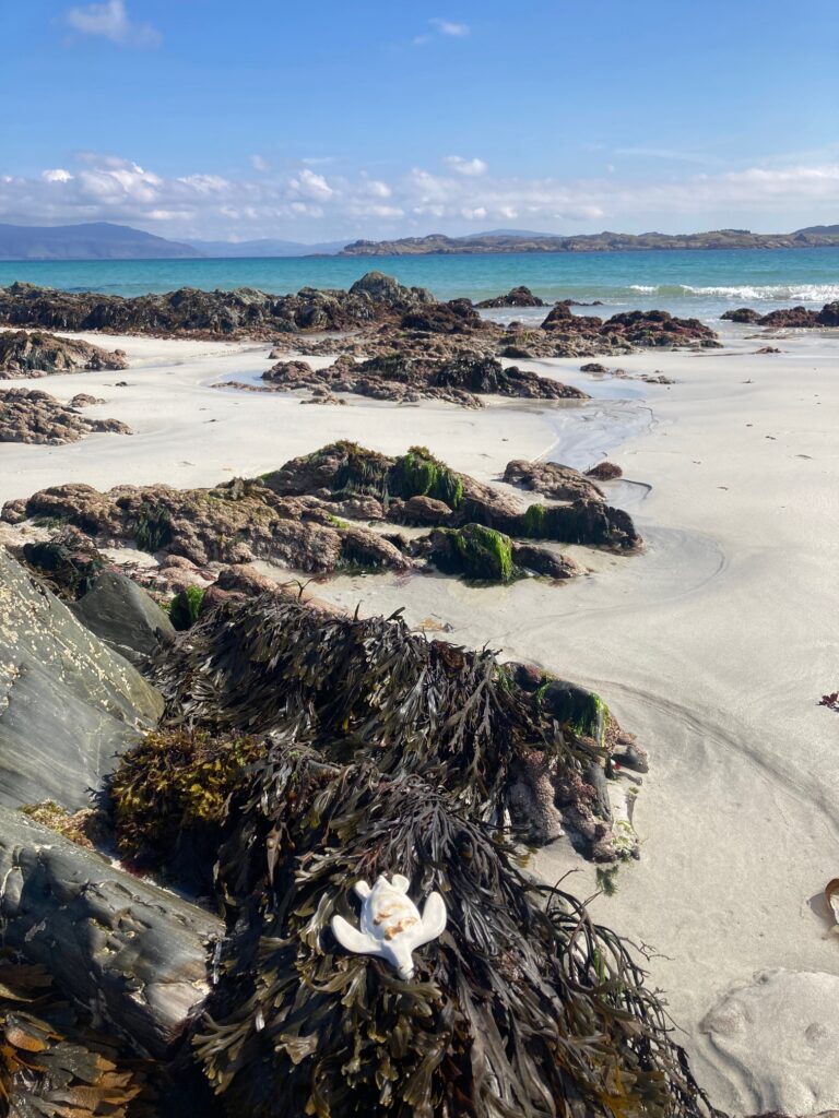 Ceramic turtle on a beach landscape